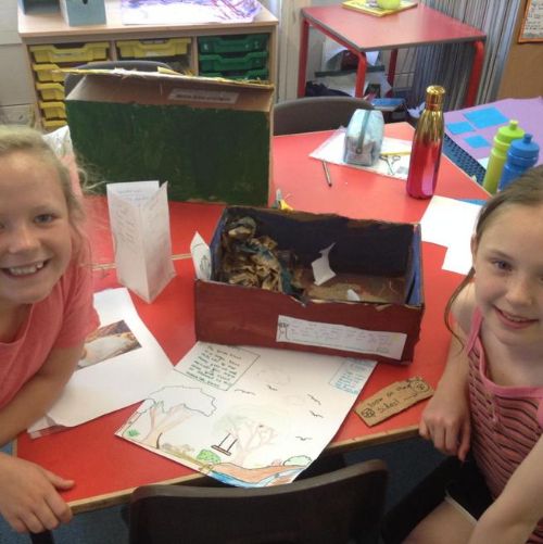 We have been researching biomes and creating our own mini biome with fact files and posters.